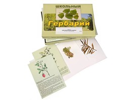 Гербарий "Для начальной школы" (30 видов, с иллюстрациями) - fgospostavki.ru - Минусинск