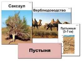 Модель-аппликация "Природные зоны России" (ламинированная) - fgospostavki.ru - Минусинск