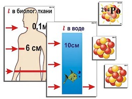 Модель-аппликация "Явление радиоактивности" (ламинированная) - fgospostavki.ru - Минусинск