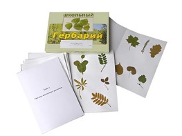 Гербарий "Морфология растений" (6 тем, 30 видов) - fgospostavki.ru - Минусинск