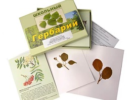 Гербарий "Систематика растений. Семейство Розоцветные" (раздаточный) - fgospostavki.ru - Минусинск