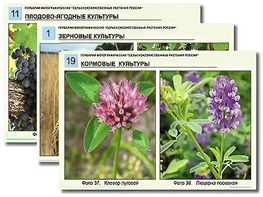 Гербарий фотографический "Сельскохозяйственные растения России" - fgospostavki.ru - Минусинск