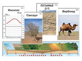 Модель-аппликация "Природные зоны" - fgospostavki.ru - Минусинск