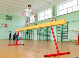 Бревно гимнастическое напольное постоянной высоты (700 мм) (5 м) - fgospostavki.ru - Минусинск