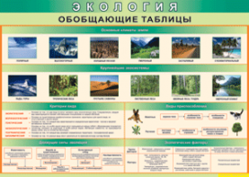 Таблица "Экология. Обобщающие таблицы" (100х140 сантиметров, винил) - fgospostavki.ru - Минусинск