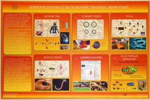 Электрифицированный стенд «Эпизоотология сельскохозяйственных животных» - fgospostavki.ru - Минусинск