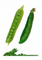 Комплект карточек "Запоминай, играй, считай" -  Овощи - fgospostavki.ru - Минусинск