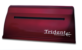 Принтер для печати рельефно-точечным шрифтом Брайля Trident - fgospostavki.ru - Минусинск