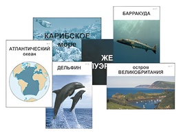 Модель-аппликация "Океаны. Знакомство" (ламинированная) - fgospostavki.ru - Минусинск