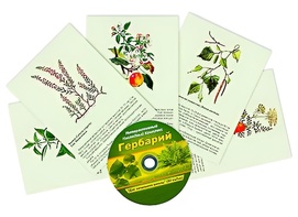 Интерактивный наглядный комплекс "Гербарий "Для начальной школы" - fgospostavki.ru - Минусинск