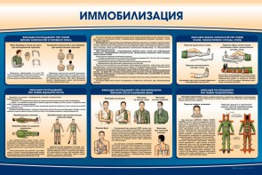 Стенд "Иммобилизация" - fgospostavki.ru - Минусинск