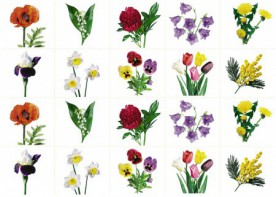 Комплект карточек "Запоминай, играй, считай" - Цветы - fgospostavki.ru - Минусинск