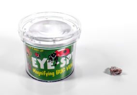 Бокс для наблюдения за насекомыми BUGV-01 - fgospostavki.ru - Минусинск