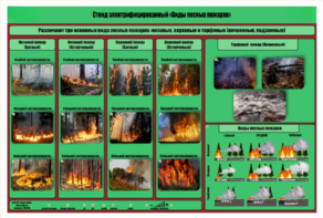 Стенд-планшет электрифицированный «Виды лесных пожаров»  - fgospostavki.ru - Минусинск