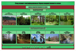 Стенд-планшет электрифицированный «Оценка пожарной опасности в лесах»  - fgospostavki.ru - Минусинск