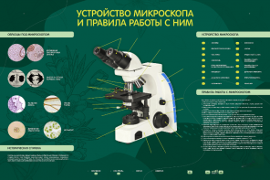 Электрифицированный стенд "Устройство микроскопа и правила работы c ним" - fgospostavki.ru - Минусинск