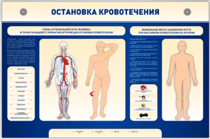 Электрифицированный стенд-тренажер "Остановка кровотечения" - fgospostavki.ru - Минусинск