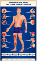 Электрифицированный стенд-тренажер "Травматизм и меры оказания первой помощи" - fgospostavki.ru - Минусинск