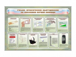 Стенды "Учебно-практическое оборудование по оказанию первой помощи" - fgospostavki.ru - Минусинск